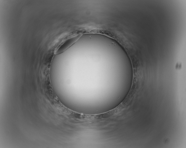 X0000113211157200909100939
