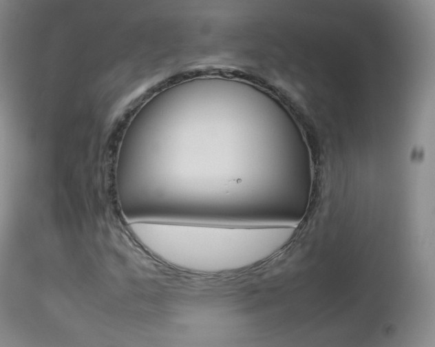 X0000113211159200909100939