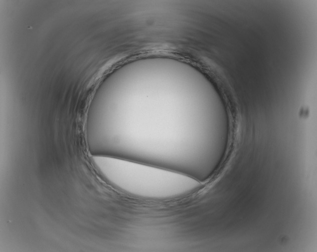 X0000113211161200909100939