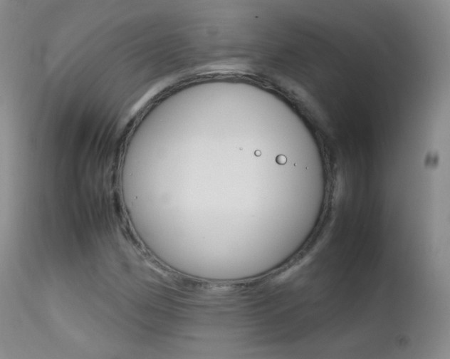 X0000113211162200909100939