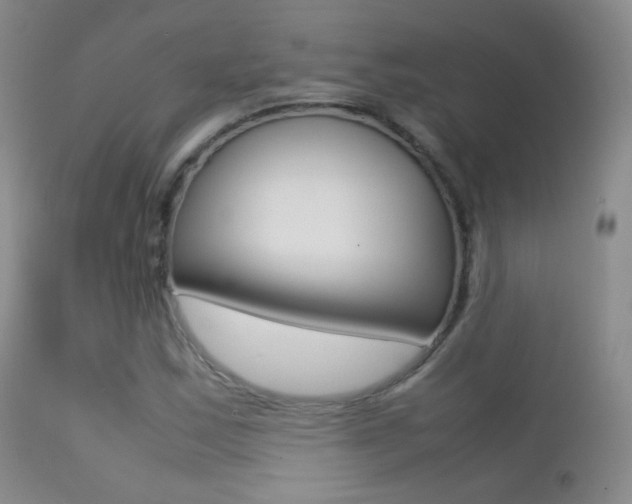 X0000113211163200909100939