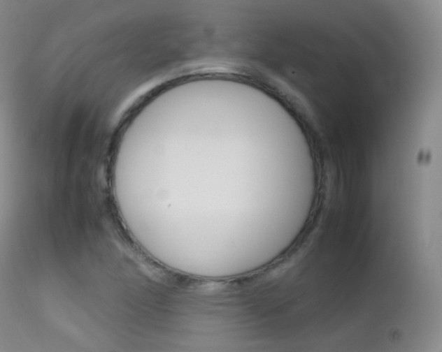 X0000113211166200909100939