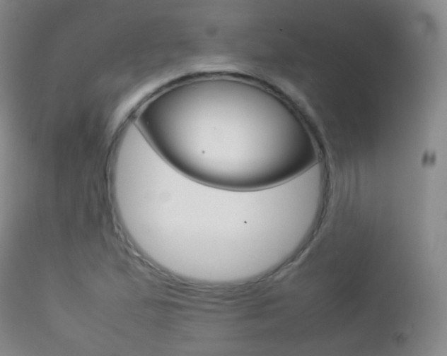 X0000113211167200909100939