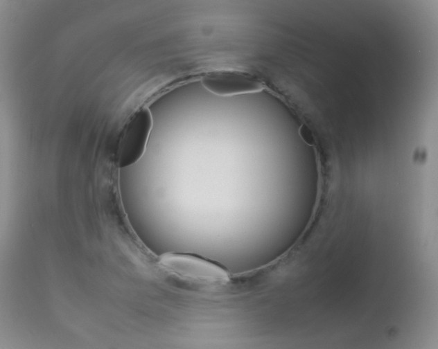 X0000113211169200909100939
