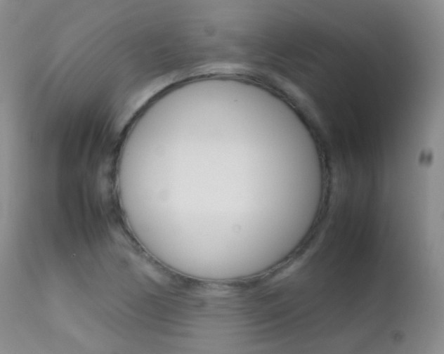 X0000113211170200909100939