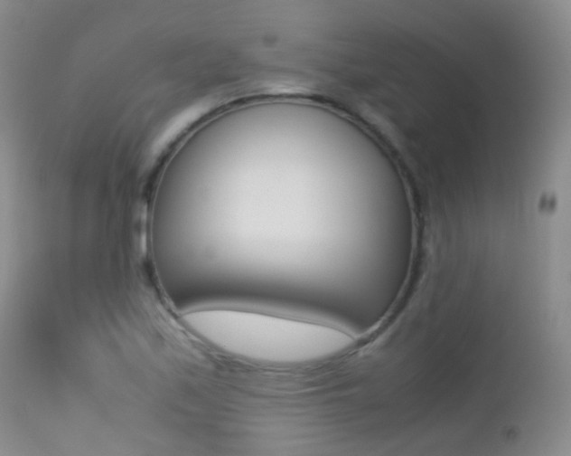 X0000113211171200909100939
