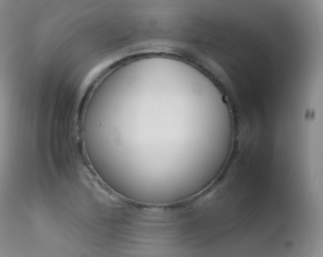 X0000113211172200909100939