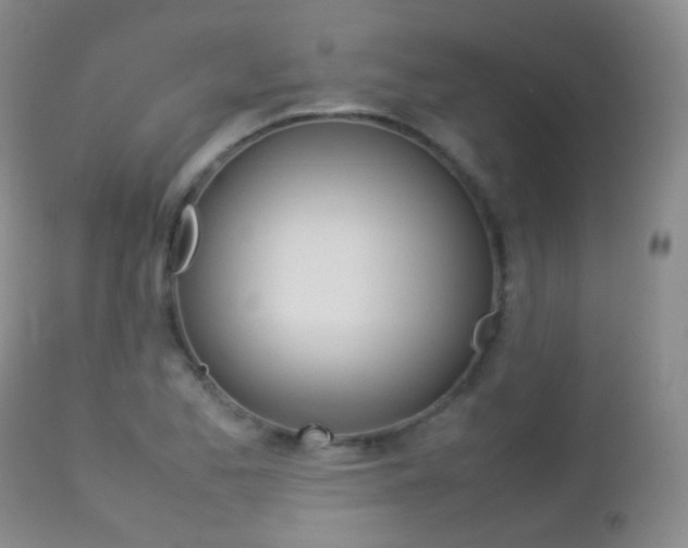 X0000113211173200909100939