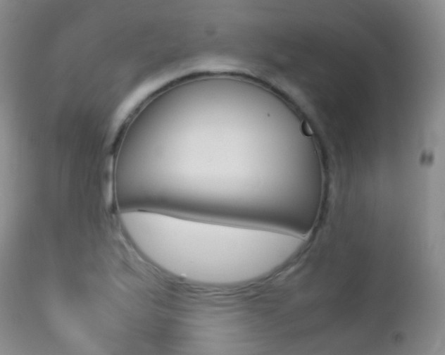 X0000113211175200909100939
