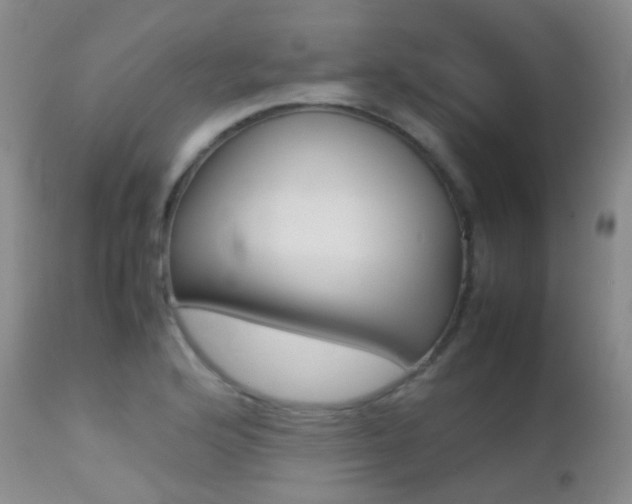 X0000113211176200909100939