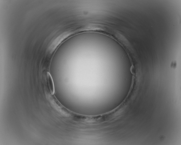 X0000113211177200909100939