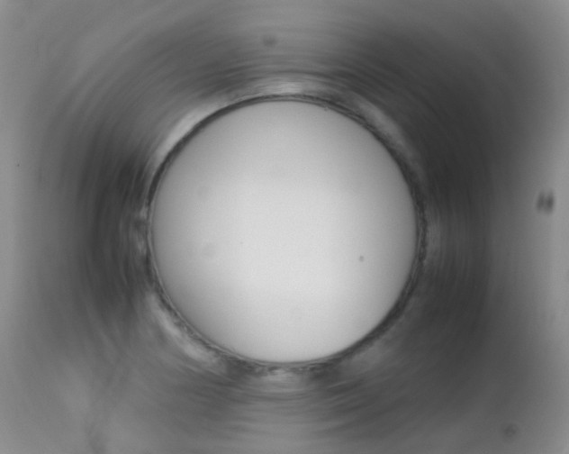 X0000113211178200909100939
