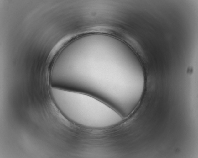X0000113211180200909100939