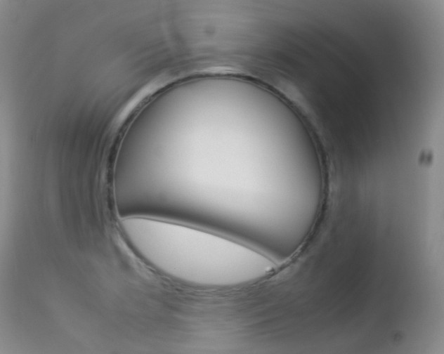 X0000113211181200909100939