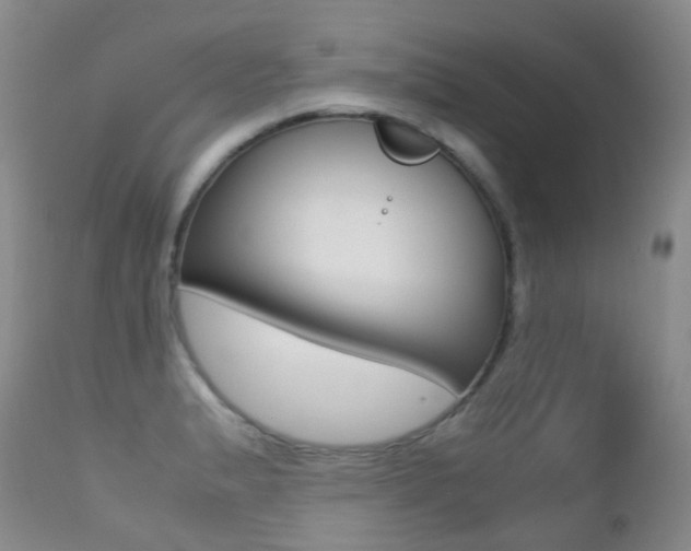 X0000113211183200909100939