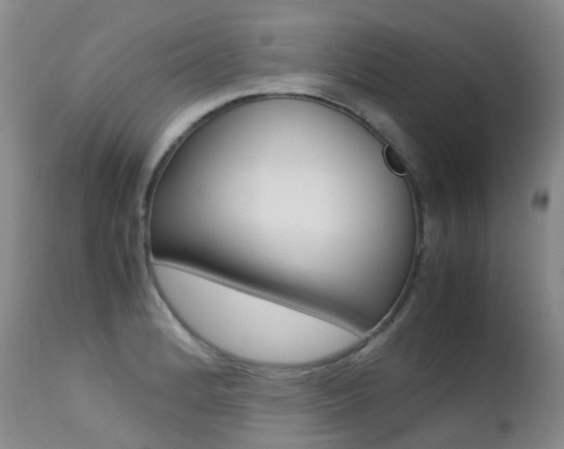 X0000113211184200909100939