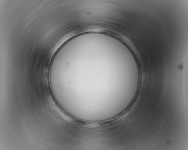 X0000113211186200909100939