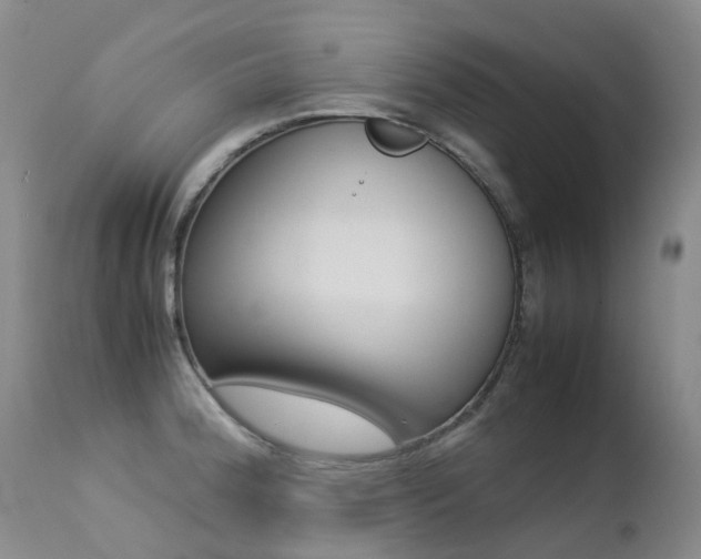 X0000113211188200909100939