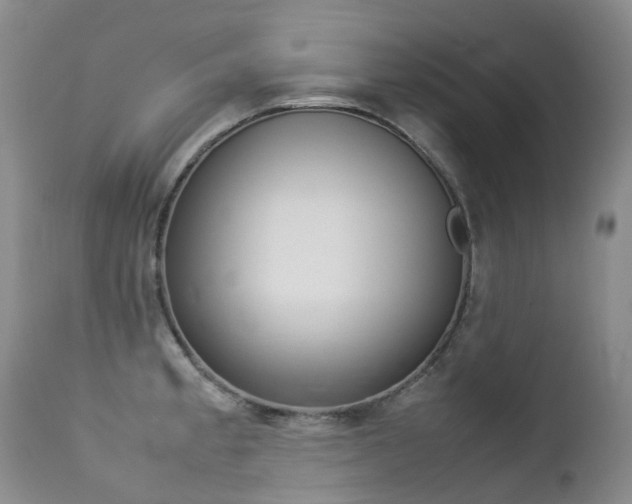 X0000113211189200909100939