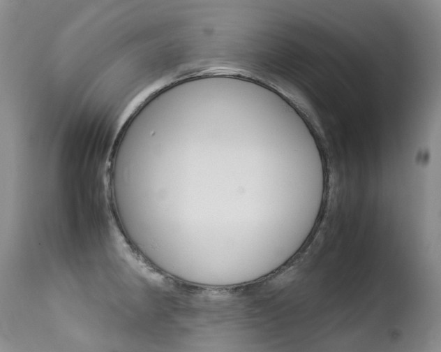 X0000113211190200909100939