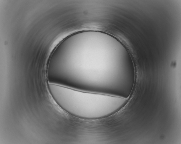 X0000113211192200909100939