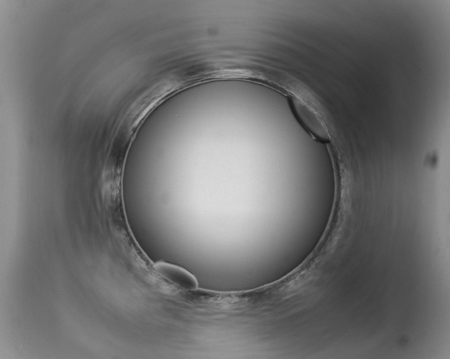 X0000113211193200909100939