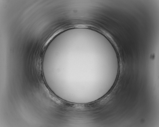 X0000113211194200909100939
