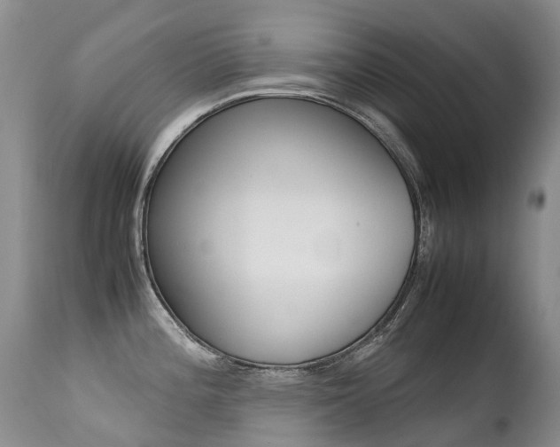 X0000113211196200909100939
