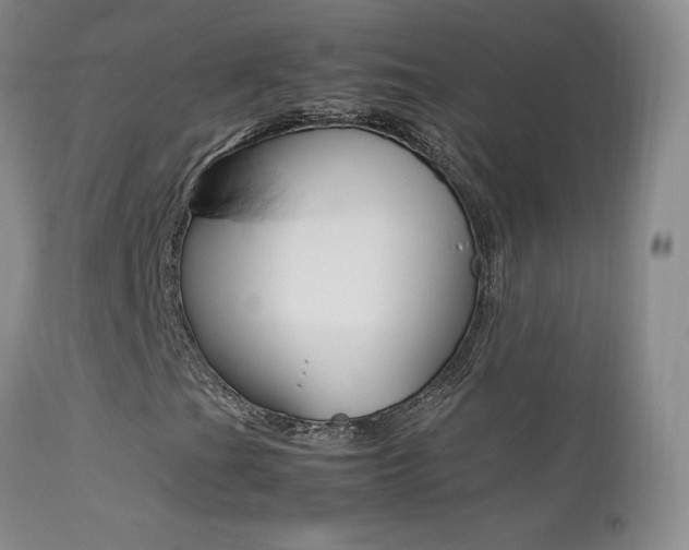 X0000113211201200909100938