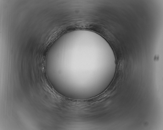 X0000113211202200909100938