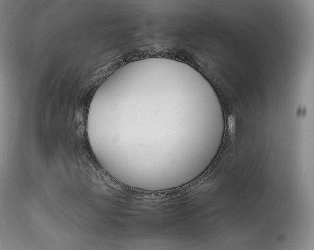 X0000113211203200909100938