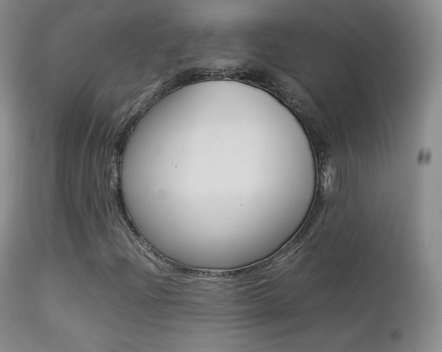 X0000113211204200909100938