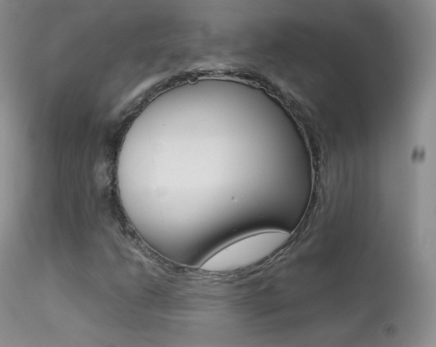 X0000113211206200909100938