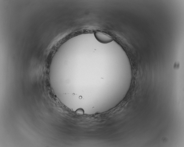X0000113211207200909100938