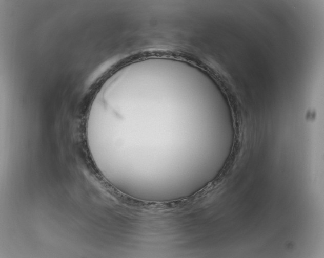 X0000113211208200909100938