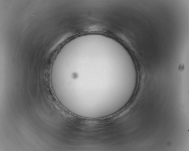 X0000113211211200909100938