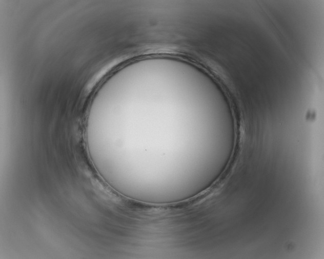 X0000113211212200909100938