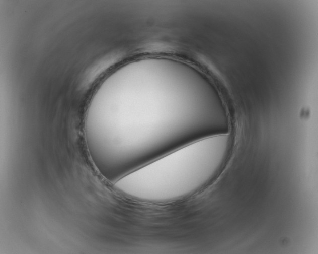 X0000113211213200909100938