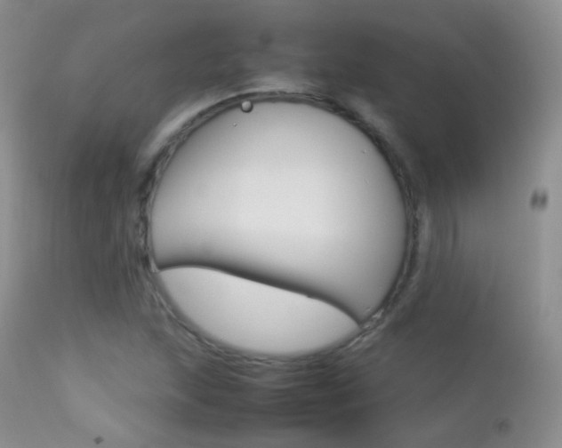 X0000113211215200909100938
