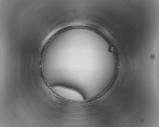 X0000113211216200909100938