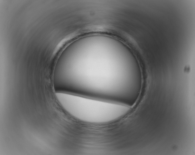 X0000113211218200909100938