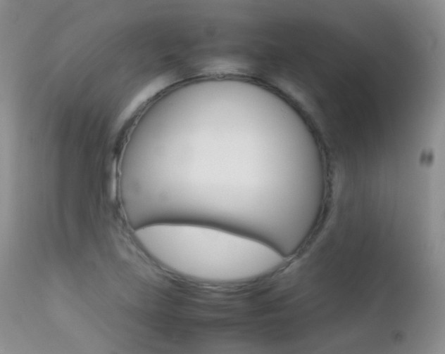 X0000113211219200909100938