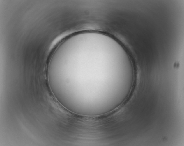 X0000113211222200909100938