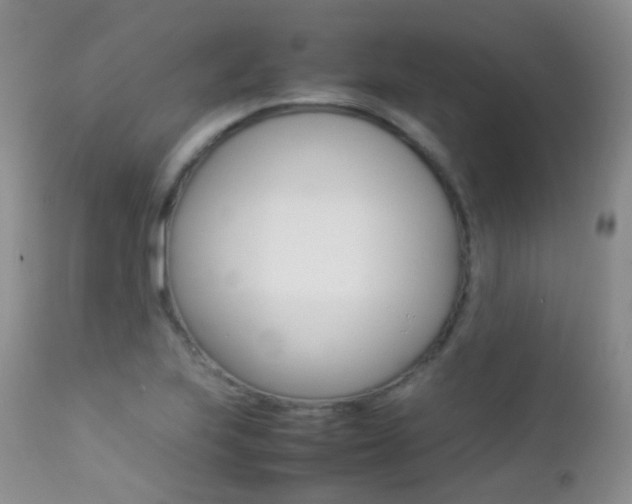 X0000113211223200909100938
