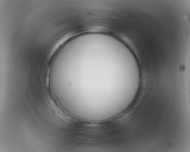 X0000113211227200909100938