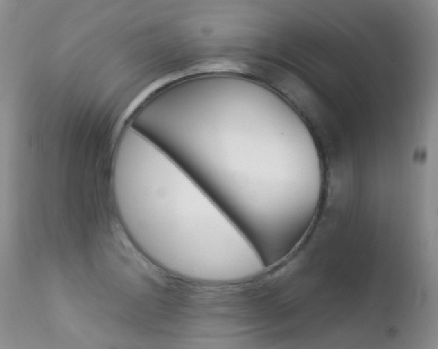 X0000113211228200909100938