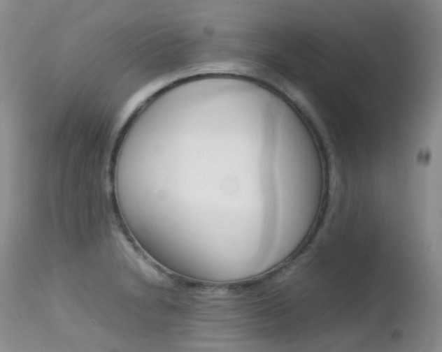 X0000113211230200909100938