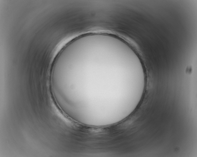 X0000113211231200909100938