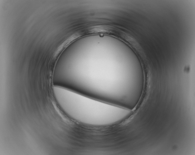 X0000113211233200909100938