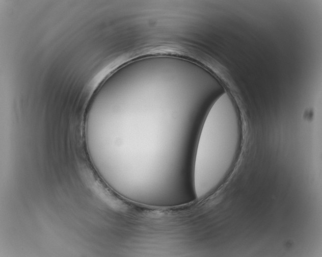 X0000113211234200909100938